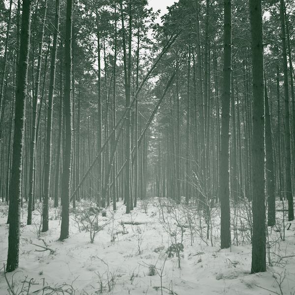 echoes patrick piper 