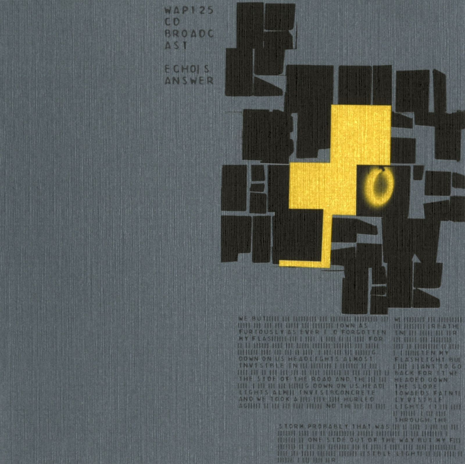 echos answer broadcast 