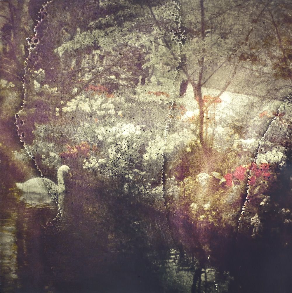 echos pastoraux elodie  