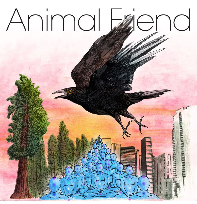 ecology now animal friend 