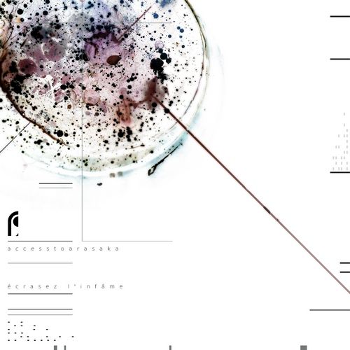 ecrasez l39 access to arasaka 