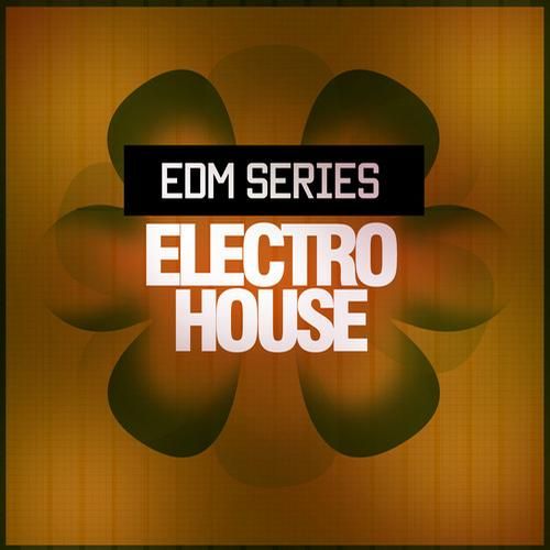 edm electro house adam shaw  