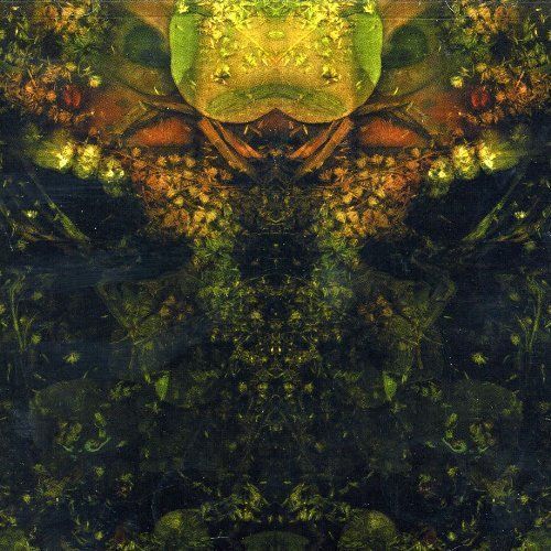 edwards lament house of low culture 