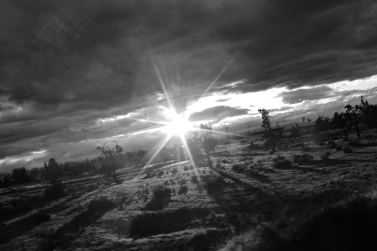 effervescence the will of a millio 