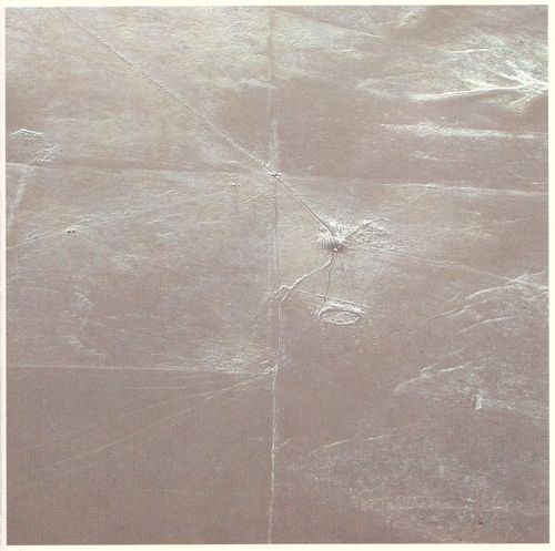 eight landscapes gunter muller  