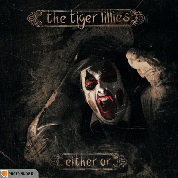 either or the tiger lillies  