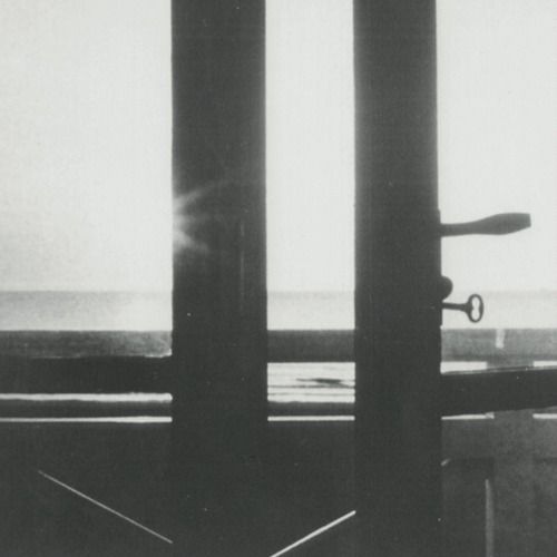 ekin fil ekin fil aac  