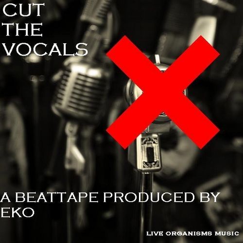 eko beatmaker cut the vocals eko be 