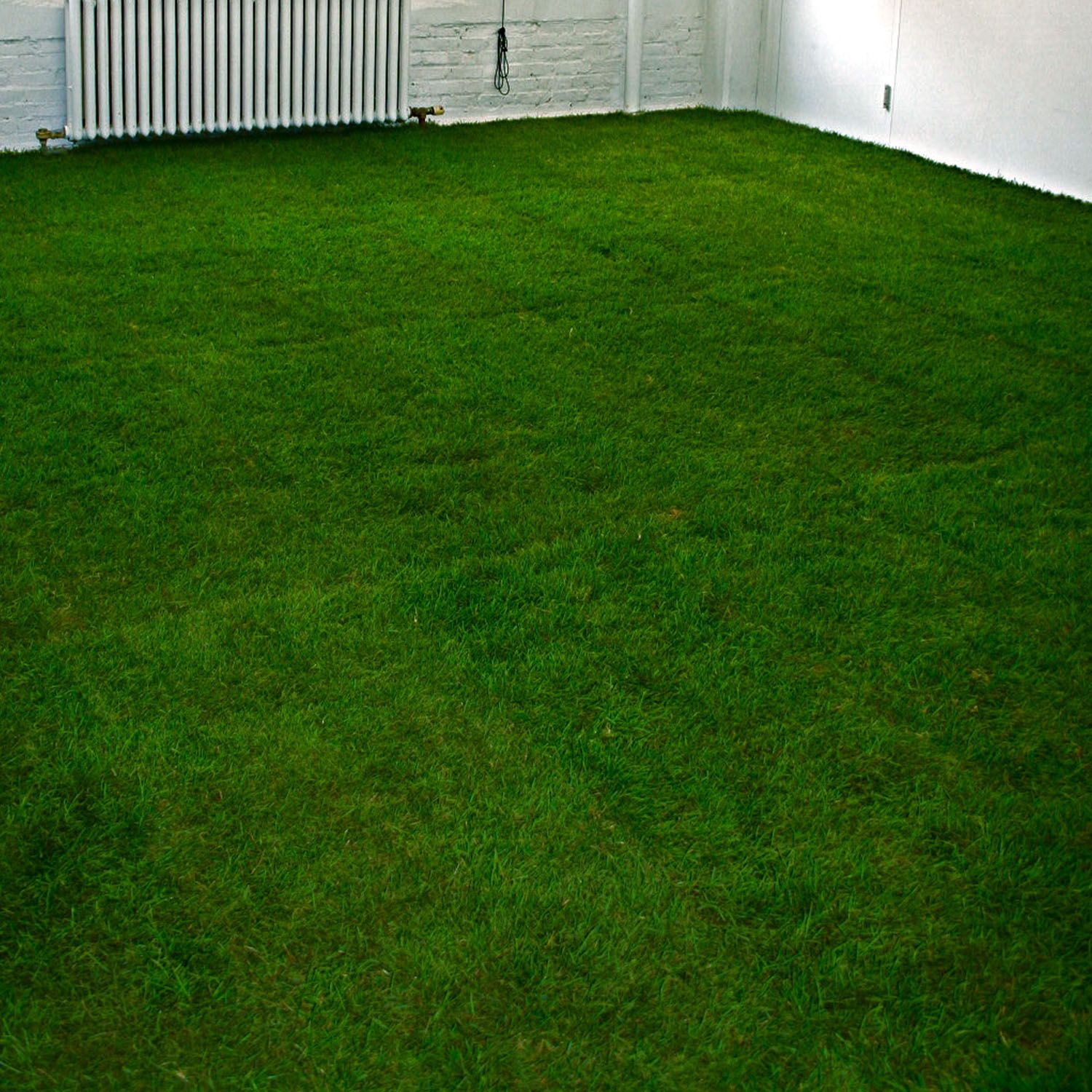 el parque estaacute simon whetham 