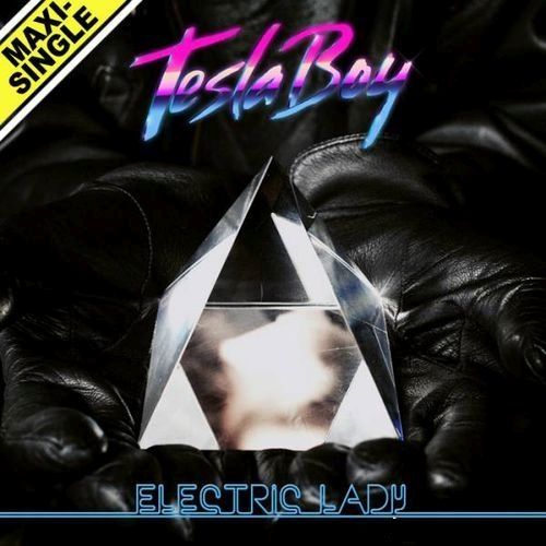 electric lady tesla boy  