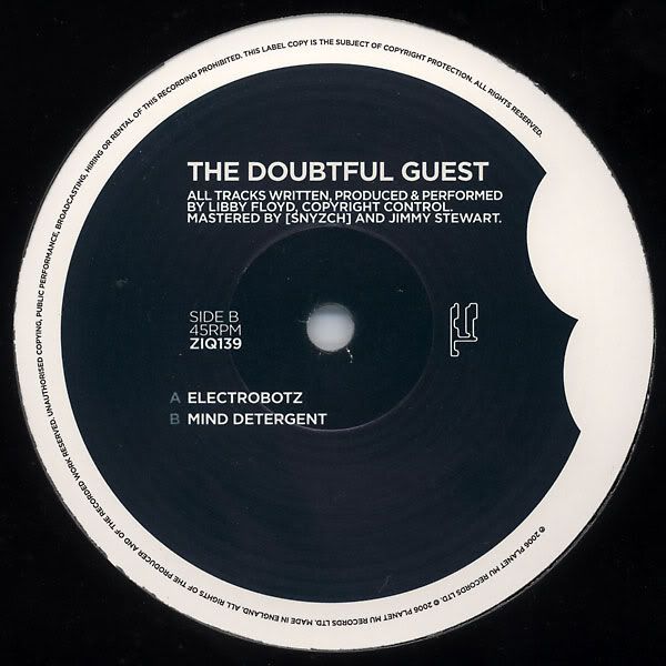 electrobotz mind d the doubtful guest  