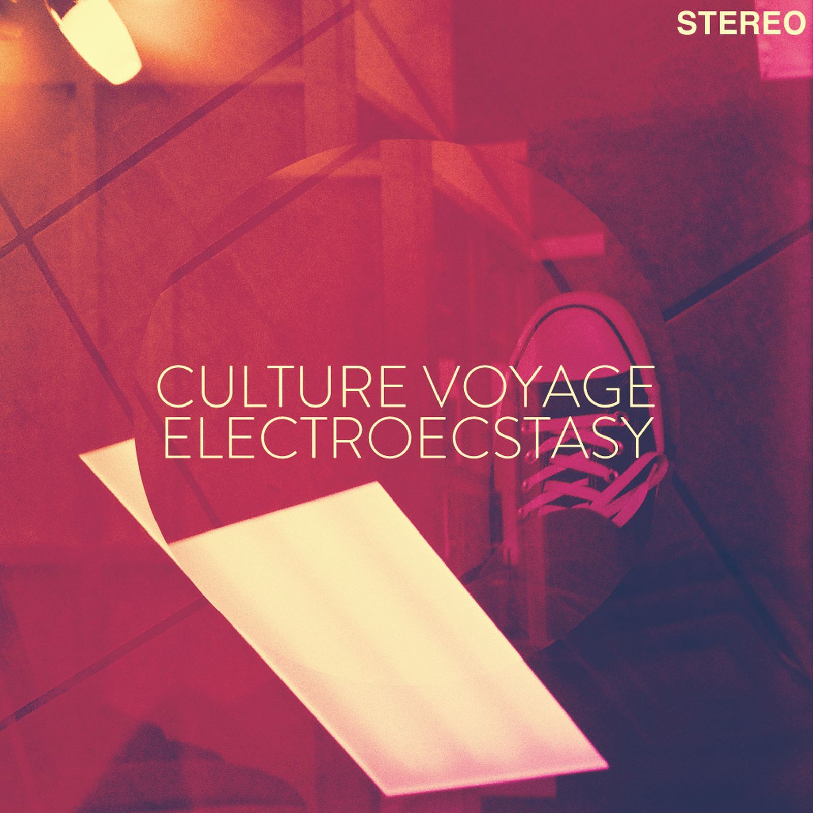 electroecstasy culture voyage  