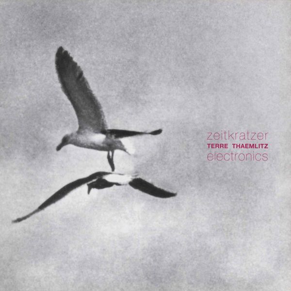 electronics terre thaemlitz 