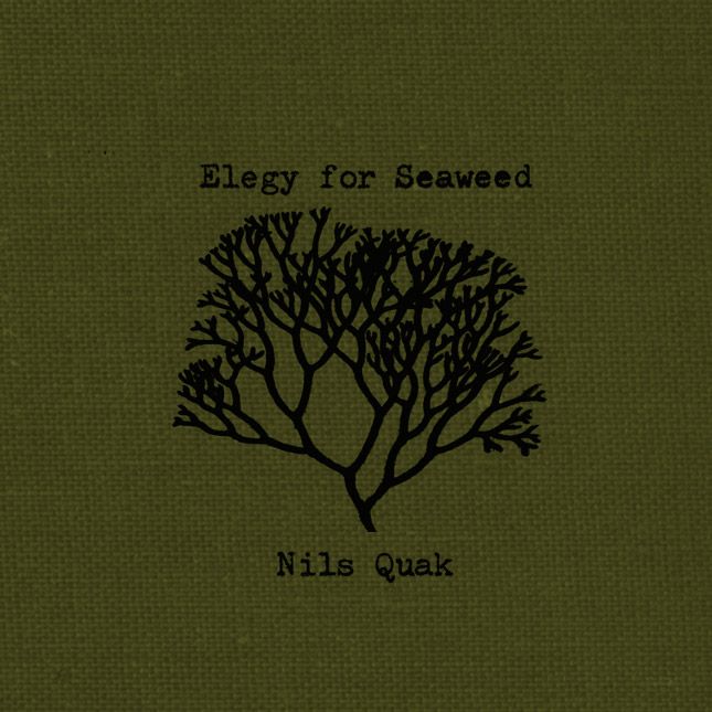elegy for seaweed nils quak 