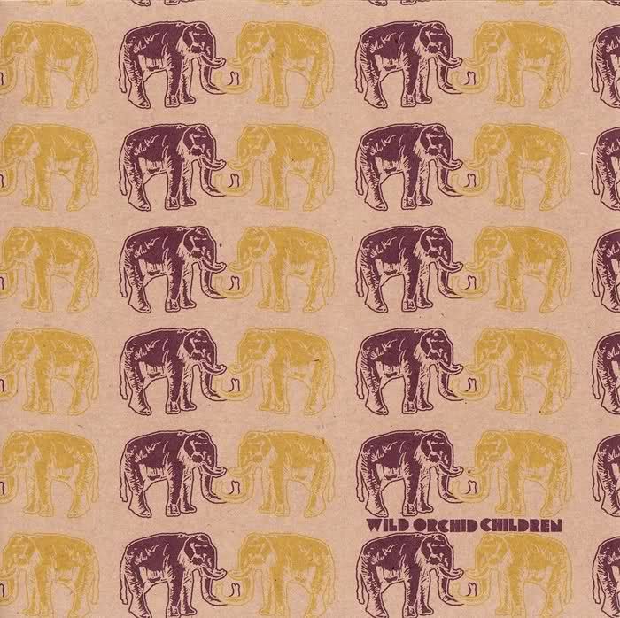 elephant ep wild orchid children 