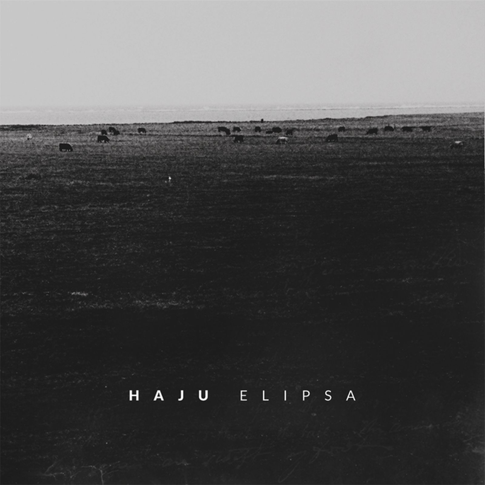 elipsa haju  