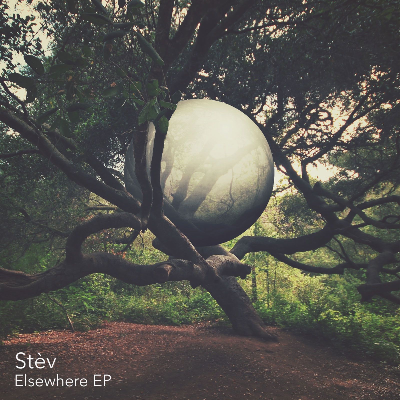 elsewhere ep stev 
