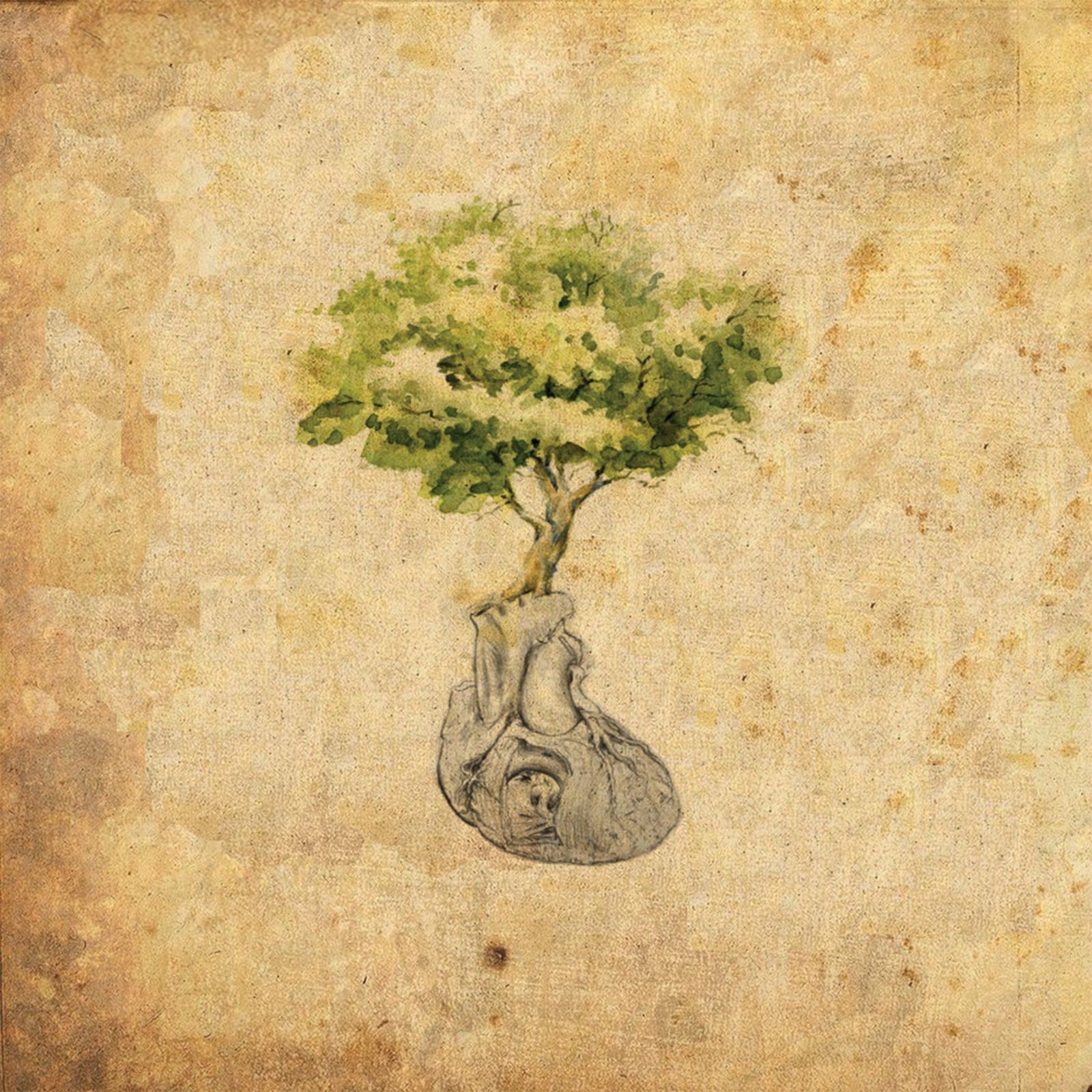 elysian library kids 