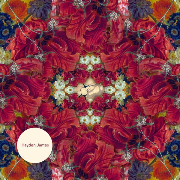 embrace version hayden james 