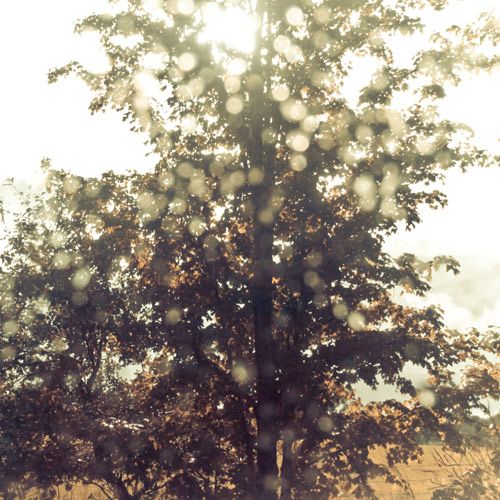 embrace ex confusion 