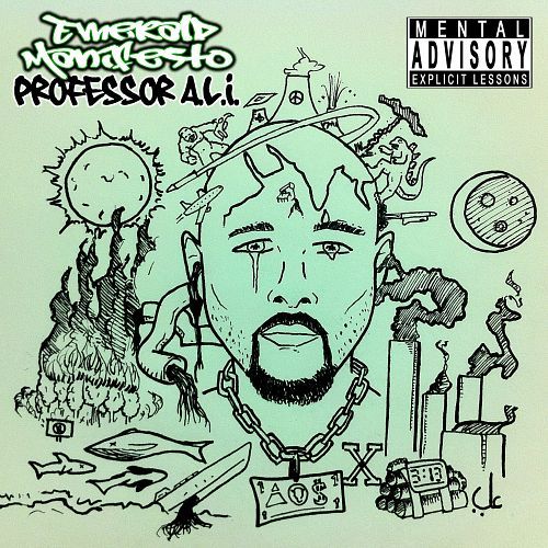 emerald manifesto professor ali  