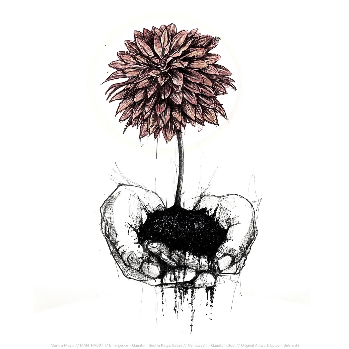 emergence nema katya gabeli 