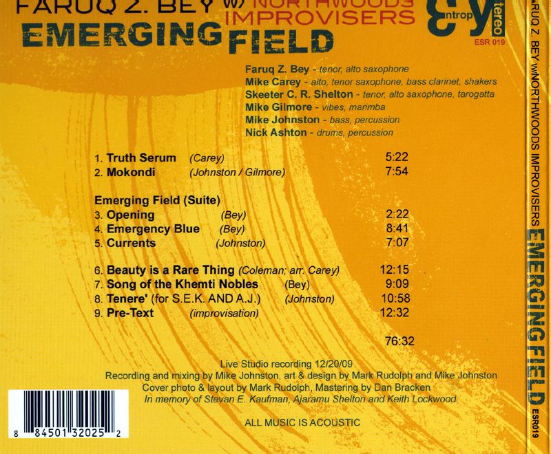 emerging field faruq z bey  