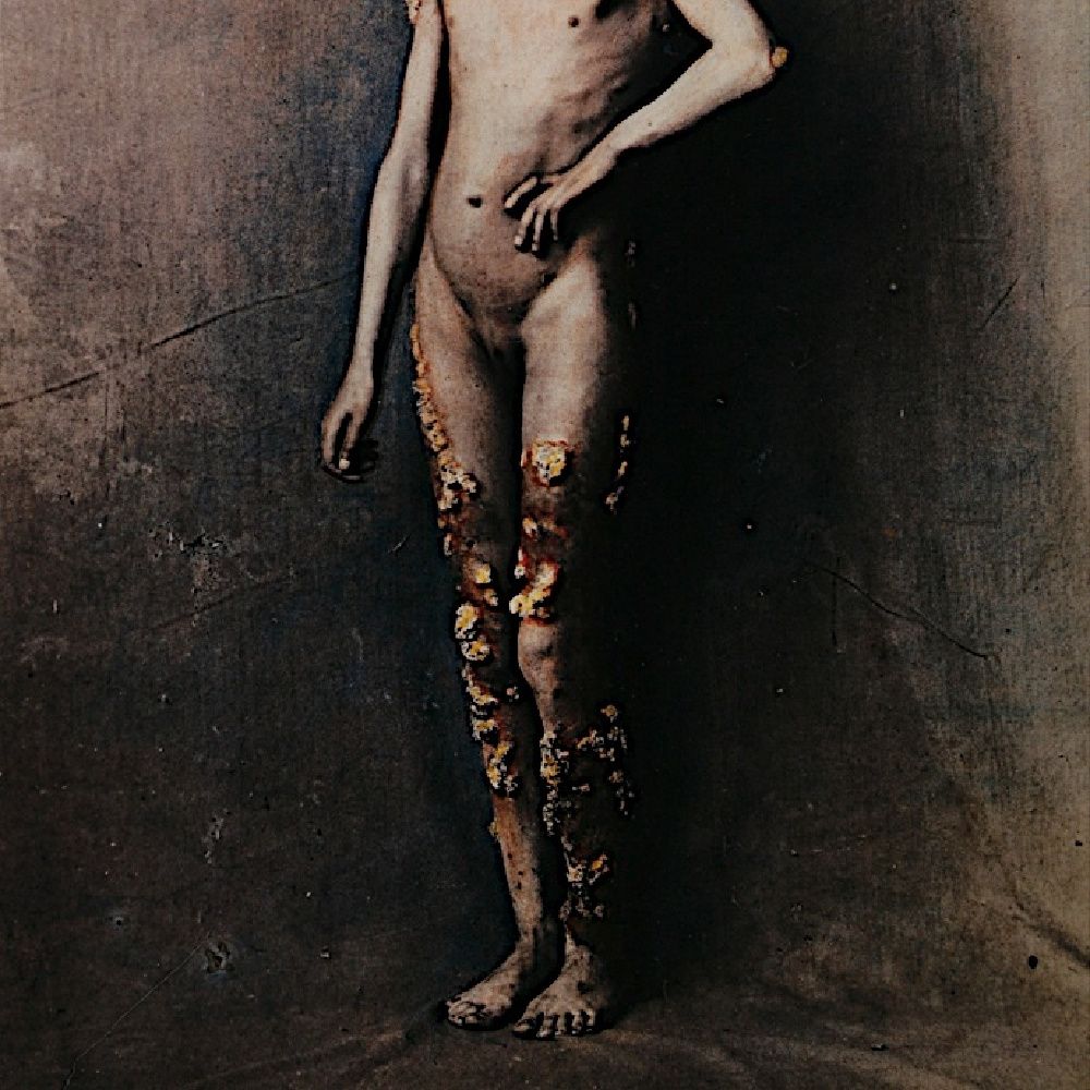 emetophile the final harsh work 