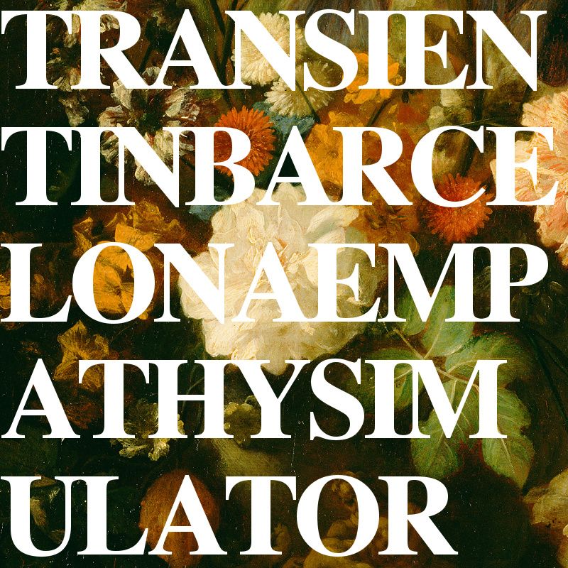 empathy simulator transient in barcelo 