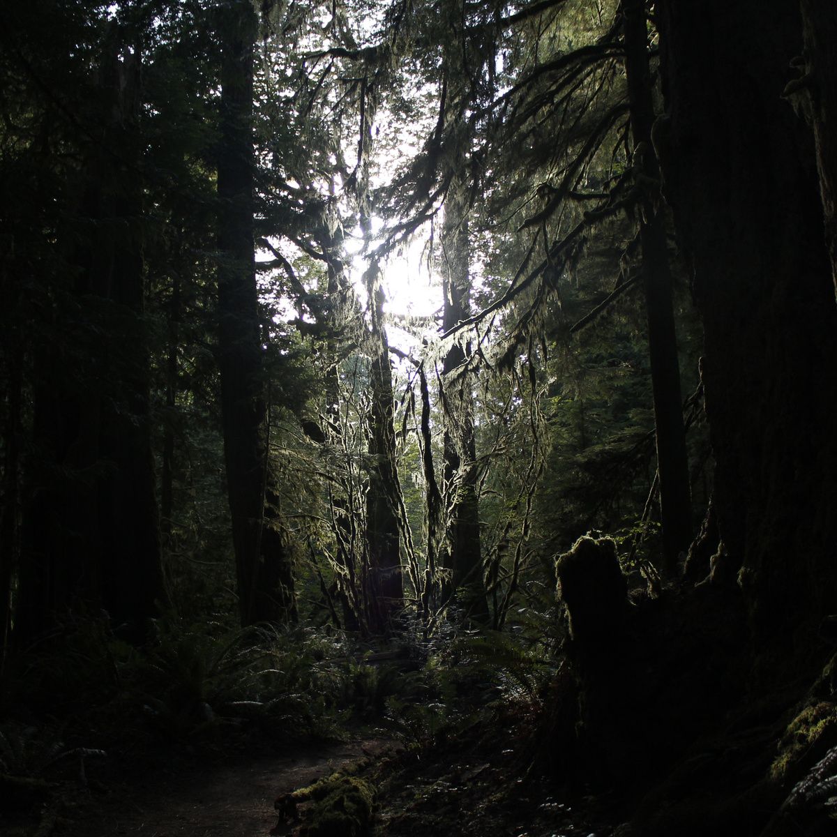 empire beacon five star hotel 