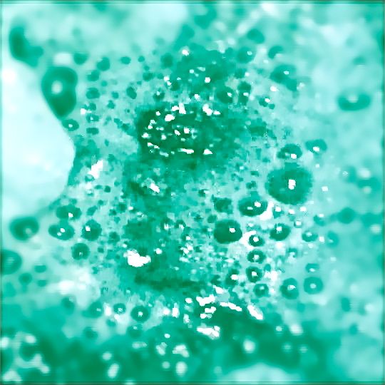 empty dreams arcadia gardens 