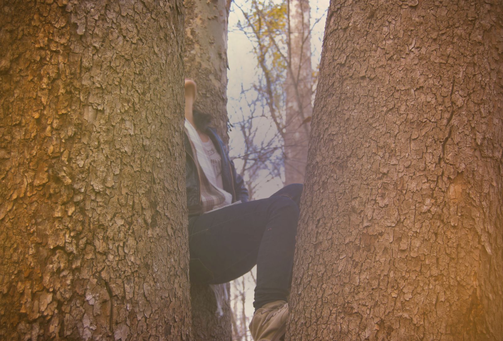 empty houses phantasmagoria 