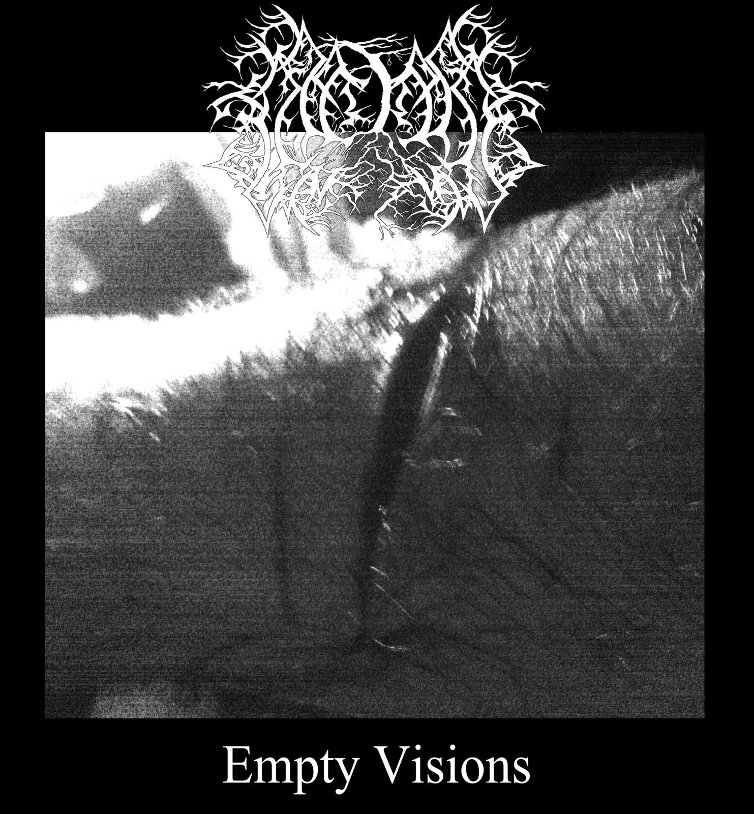 empty visions mistake 