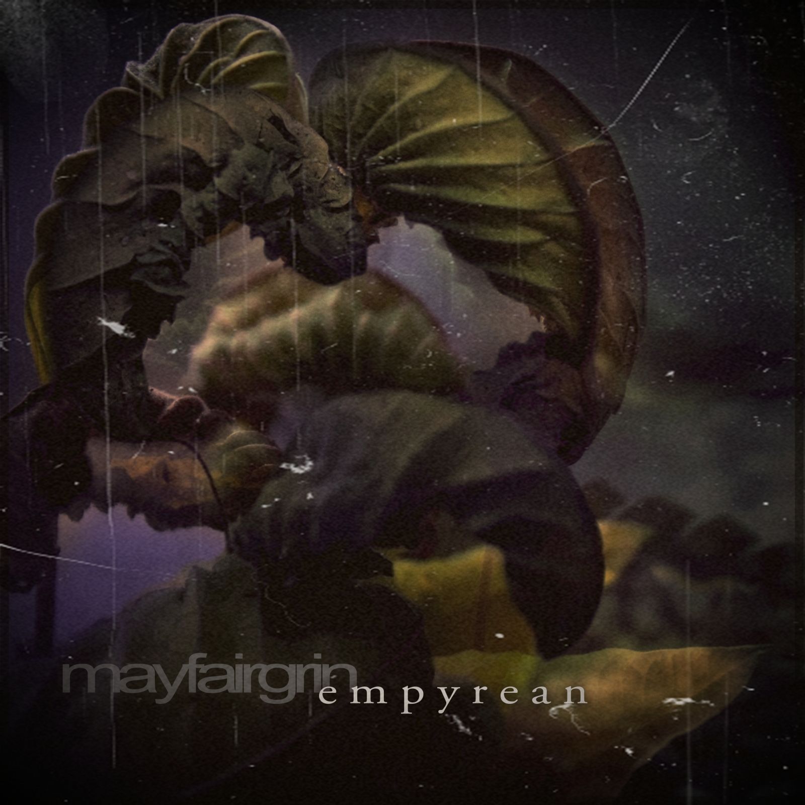 empyrean mayfairgrin 