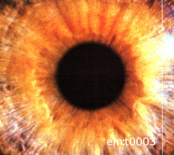 emt 0003 andy hughes 