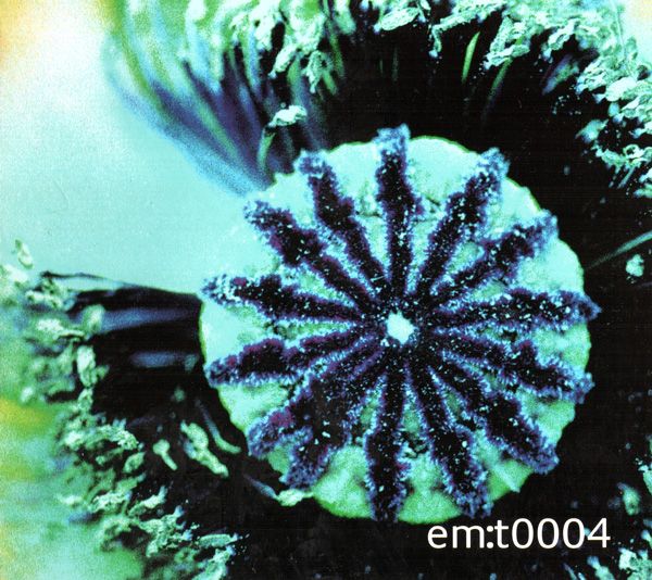 emt 0004 andy hughes 