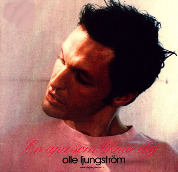 en apa som liknar di olle ljungstrom 
