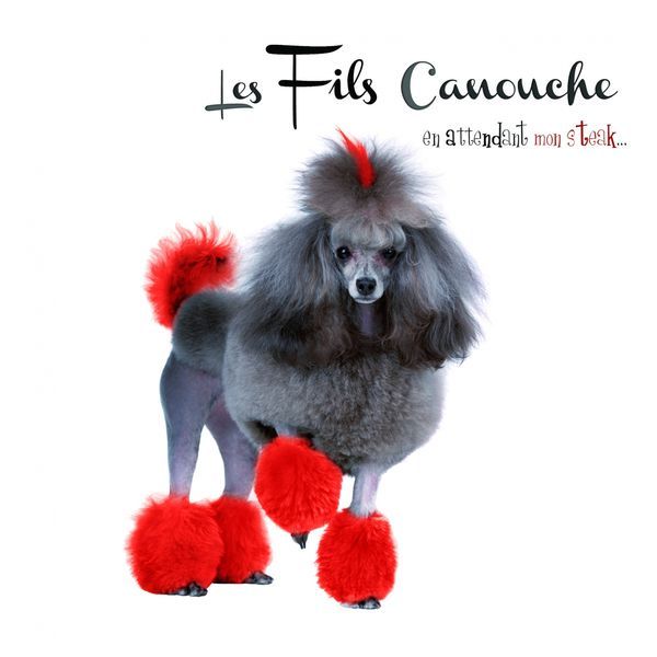 en attendant mon ste les fils canouche 