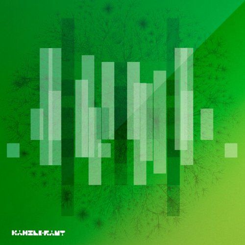 en route ray kajioka 