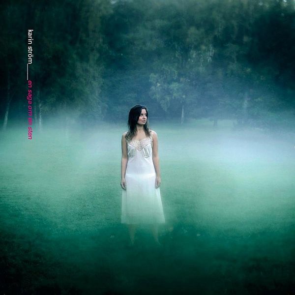 en saga om en sten karin strom 