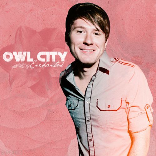 enchanted owl city  