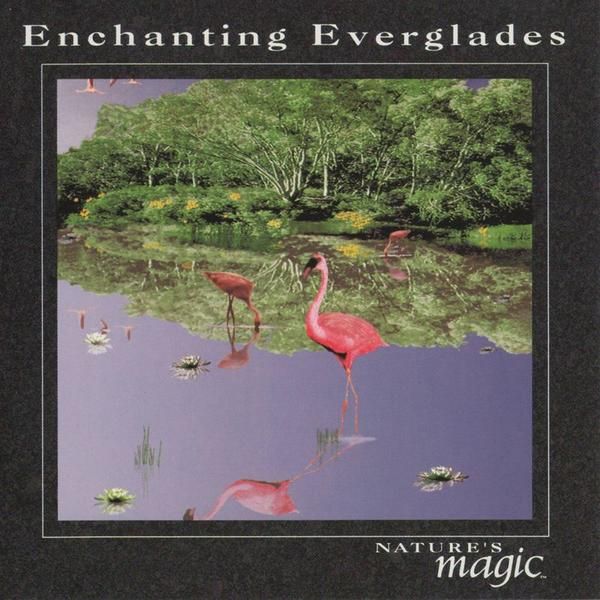 enchanting everglade natures magic  