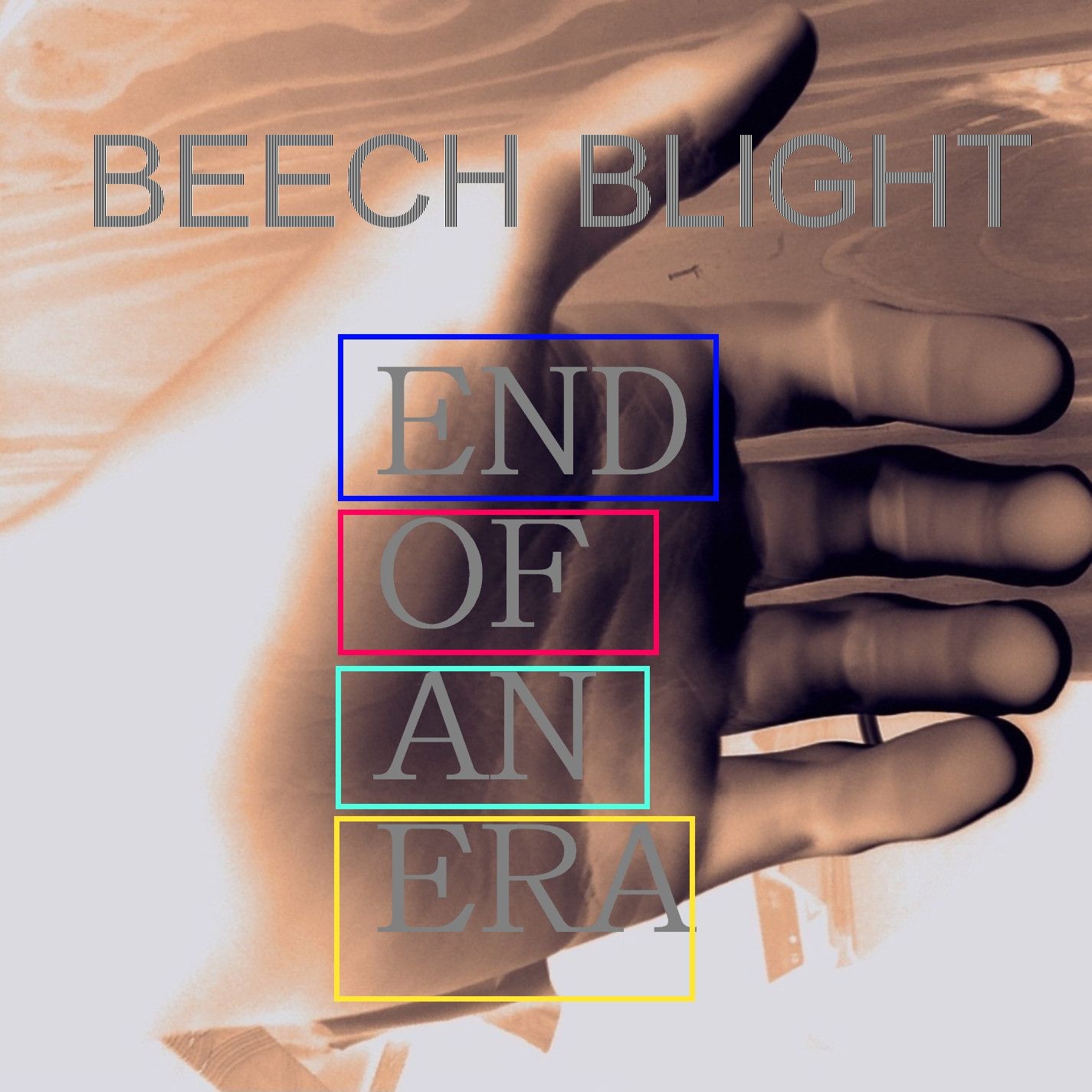 end of an era beech blight 