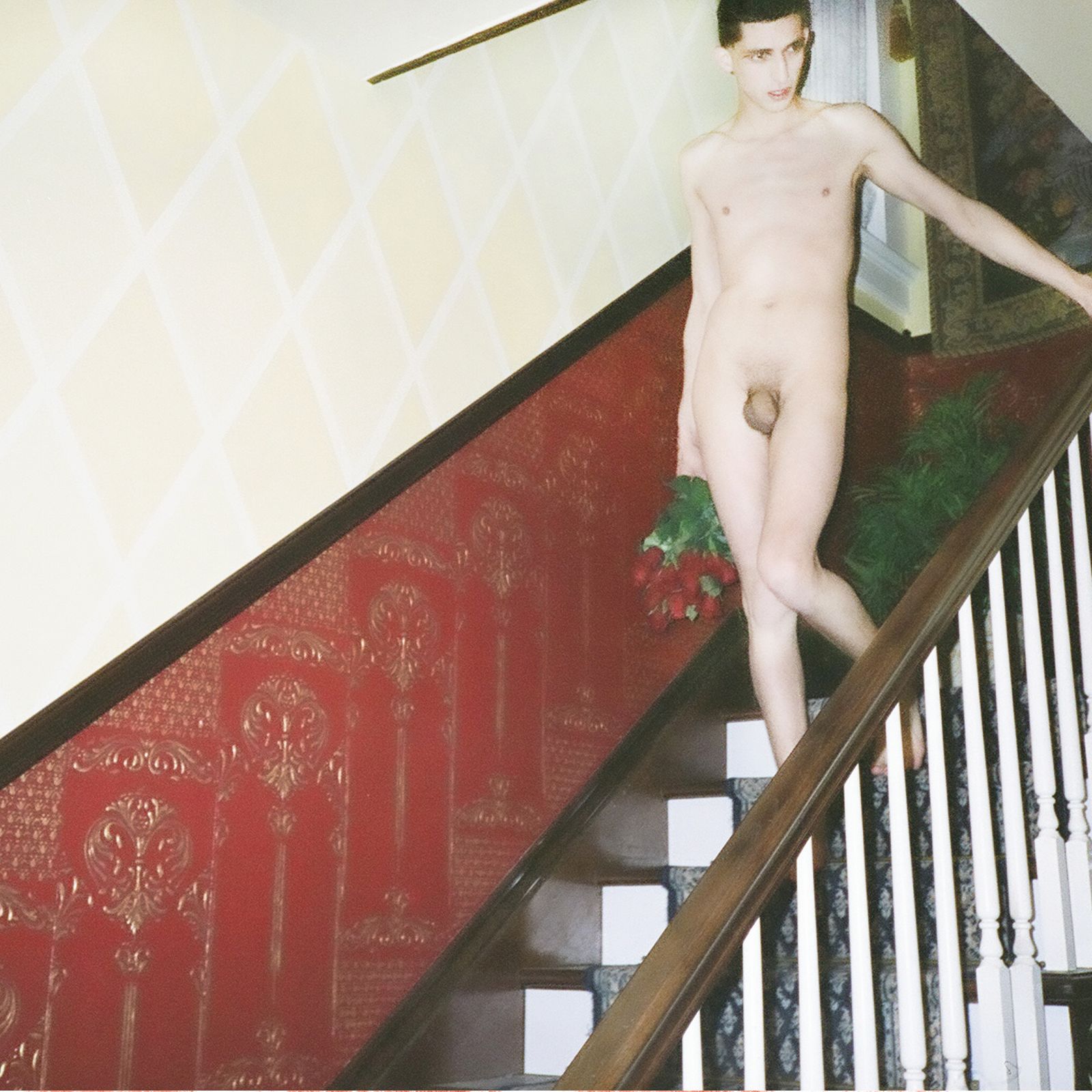 endless flowers crocodiles 