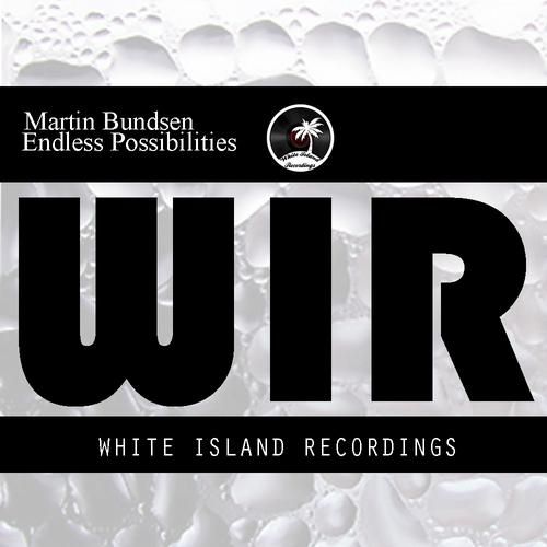 endless possibilitie martin bundsen  