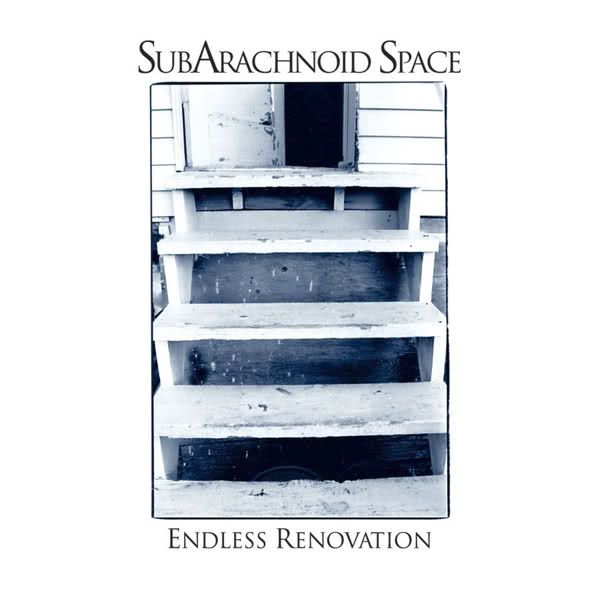 endless renovation subarachnoid space 