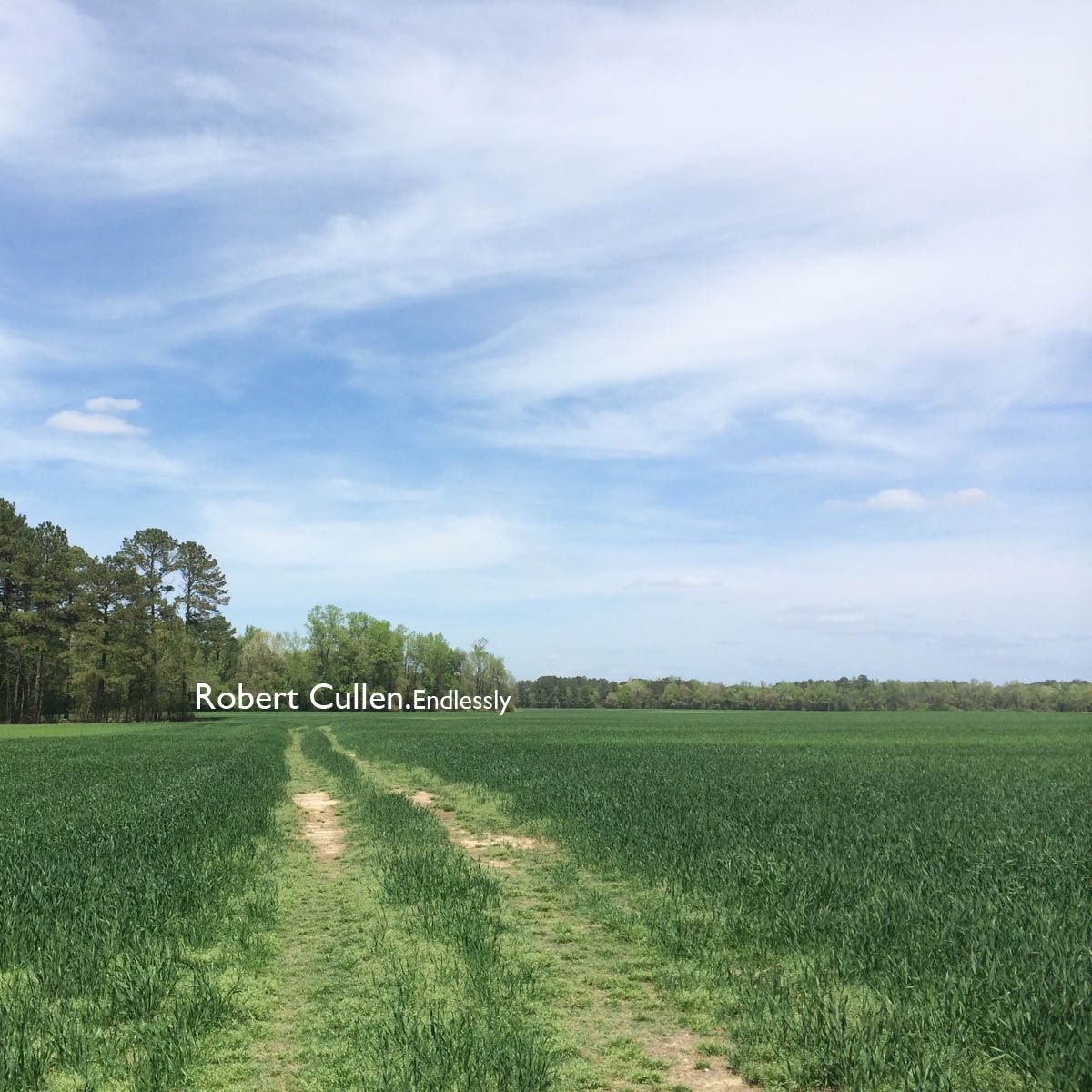 endlessly robert cullen 