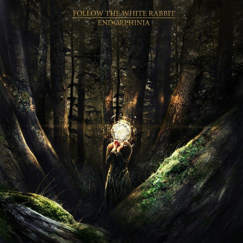endorphinia follow the white rab 