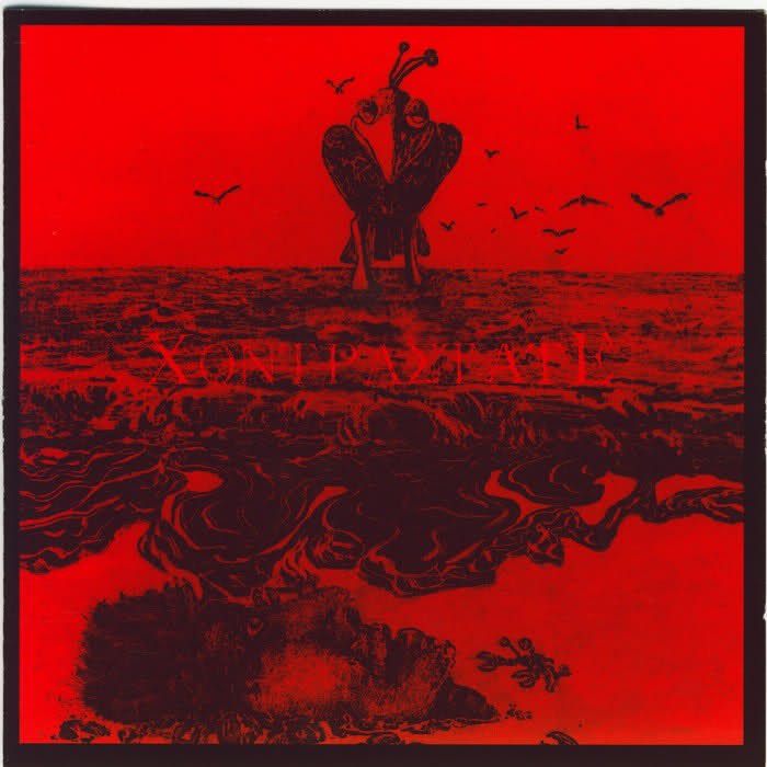 english embers contrastate  