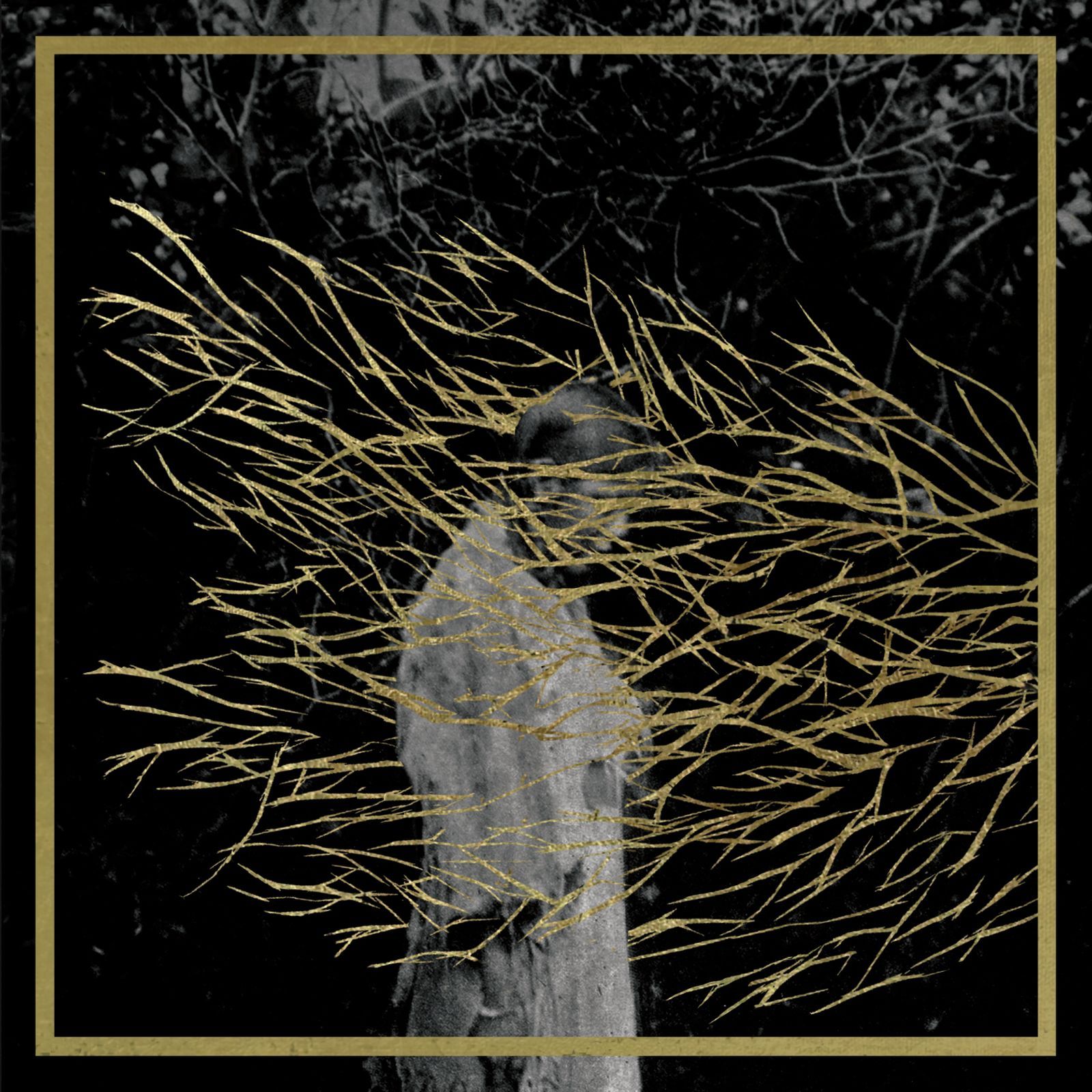 engravings forest swords 